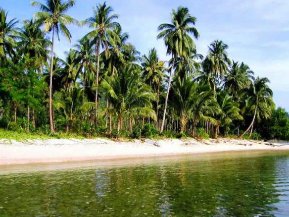 Ideal San Vicente Exclusive Beachfront