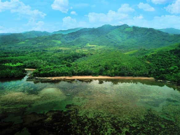 Nature Lovers Exclusive Beachfront