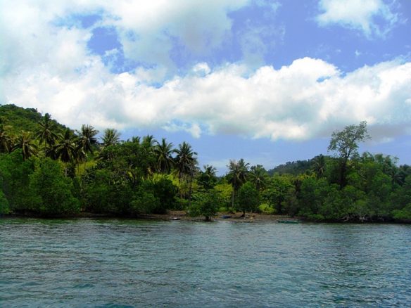 Seafront Property in Honda Bay