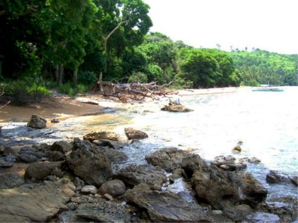 Coastal Hillside with Island Views