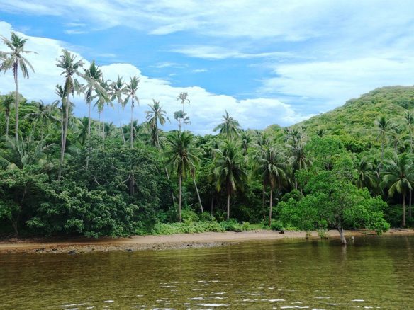 Exotic Seascapes with Island Views