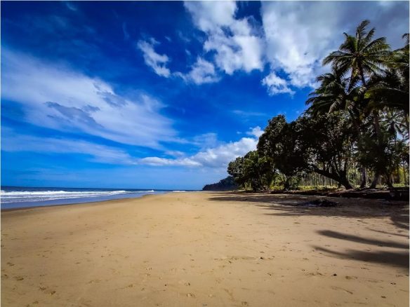 West Coast Beach Properties