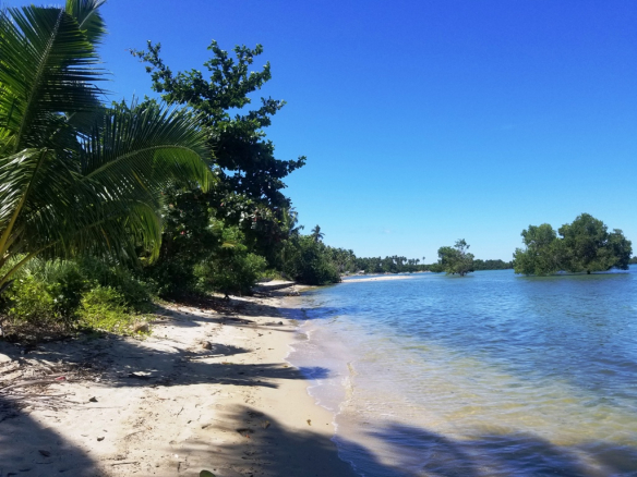 Attractive White Sand Beachfront