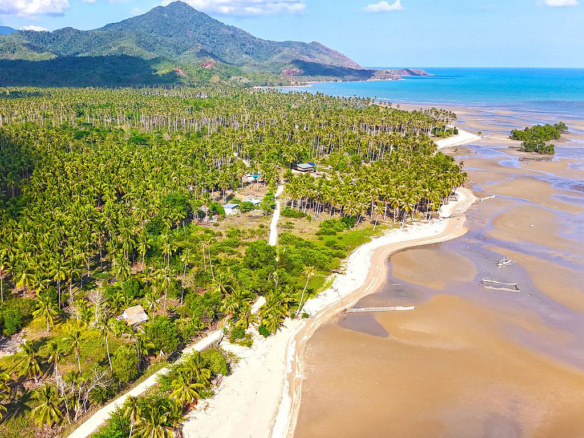 Tropical White Sand Beachfront with Sandbars