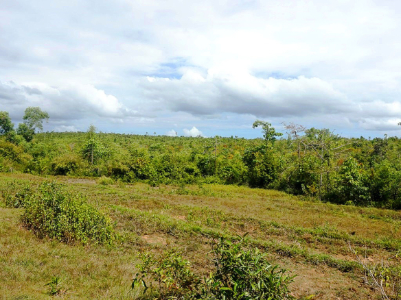 Homesteading with Overlooking Views of Honda Bay