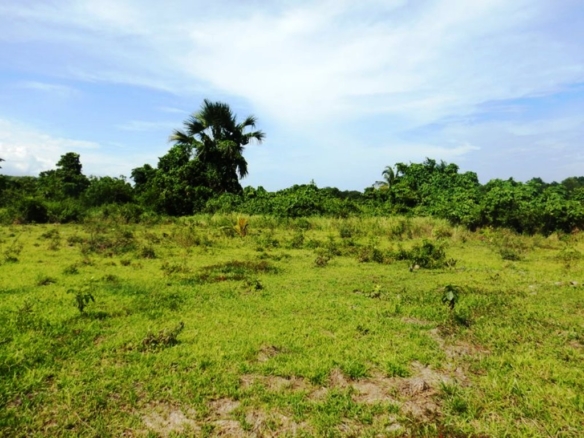 Agri-lots with Commercial Potential near Beach