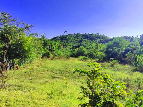 High Potential Homestead Farm Property