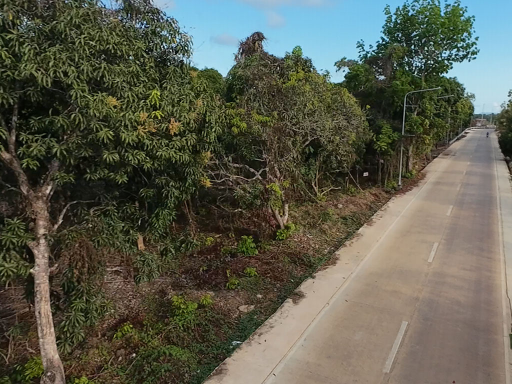 Residential Lot Ready for Development
