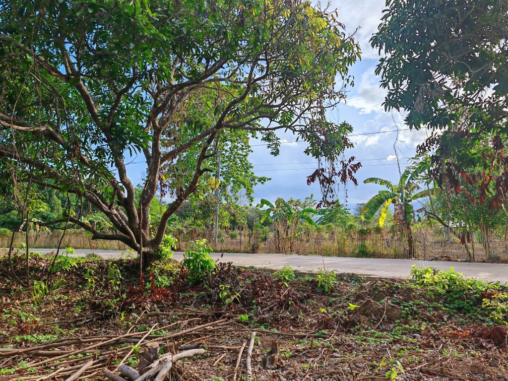 Residential Lot Ready for Development