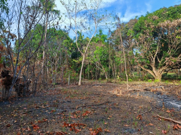 Residential Lot Ready for Development