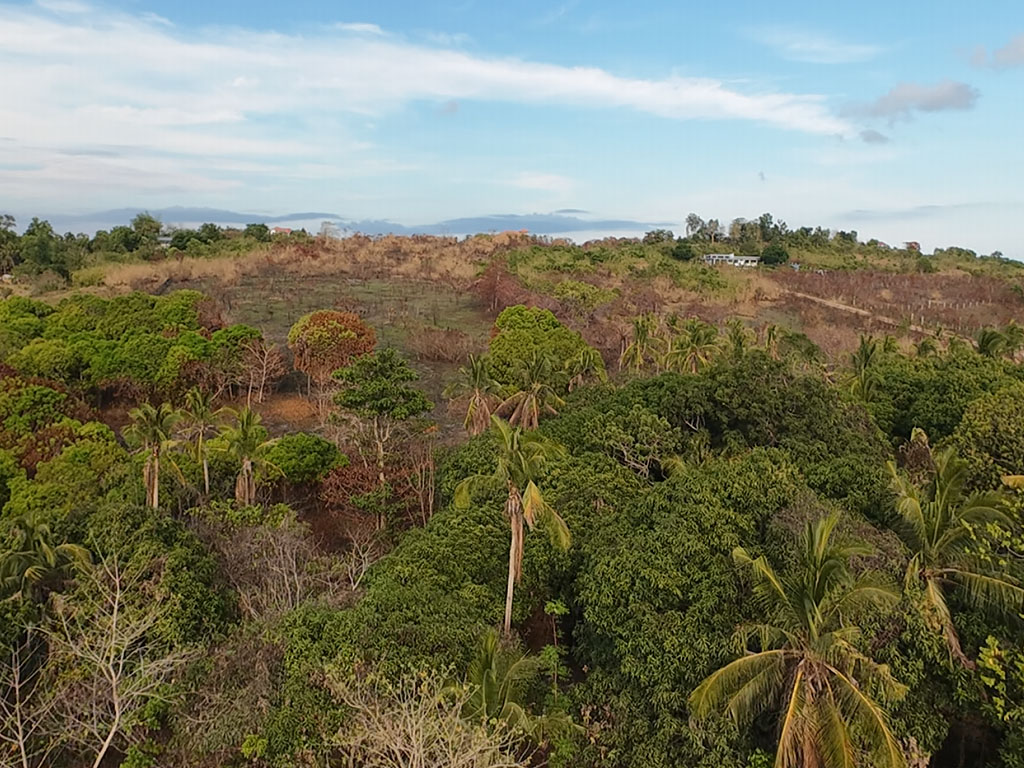 Residential Lot Ready for Development