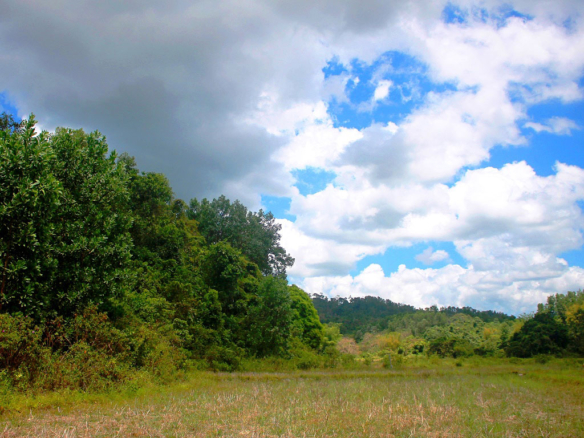 Homestead Farmland with Commanding Hill