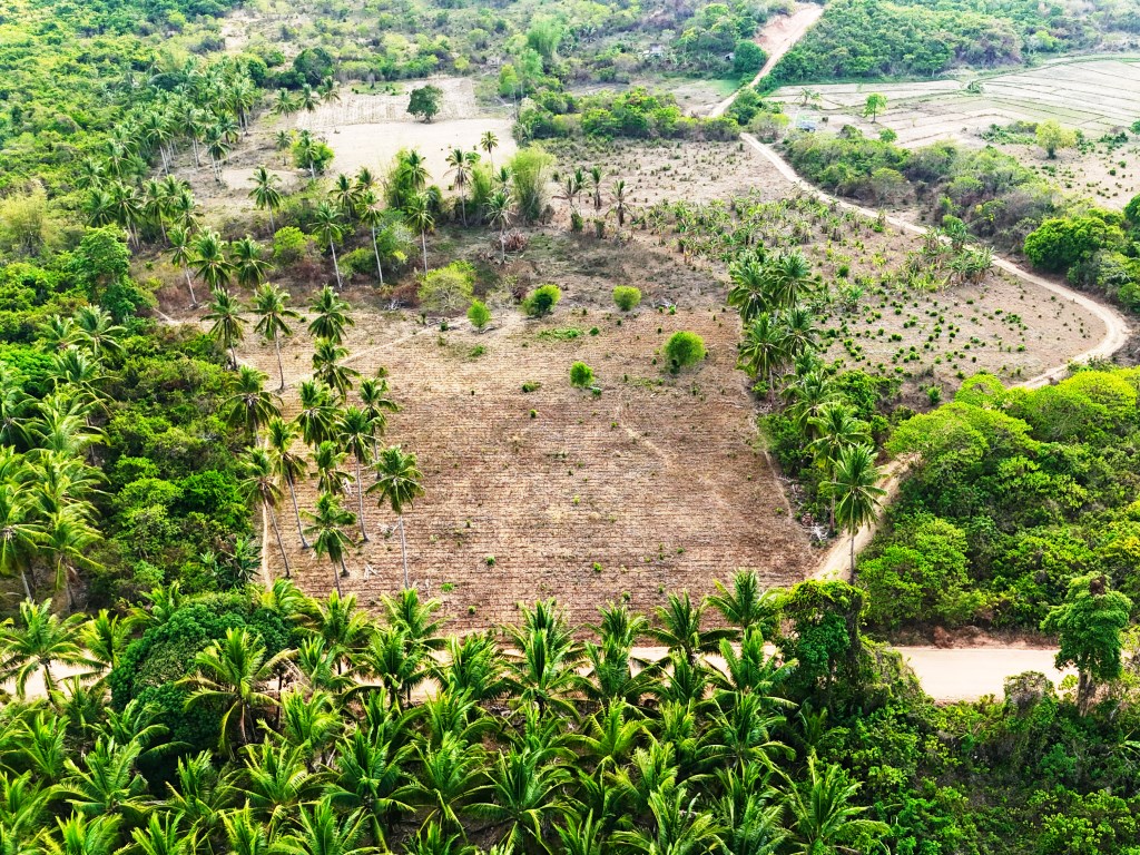 Tropical Homestead Subdivision near Beach 