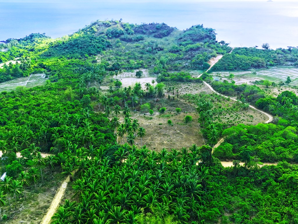 Tropical Homestead Subdivision near Beach 
