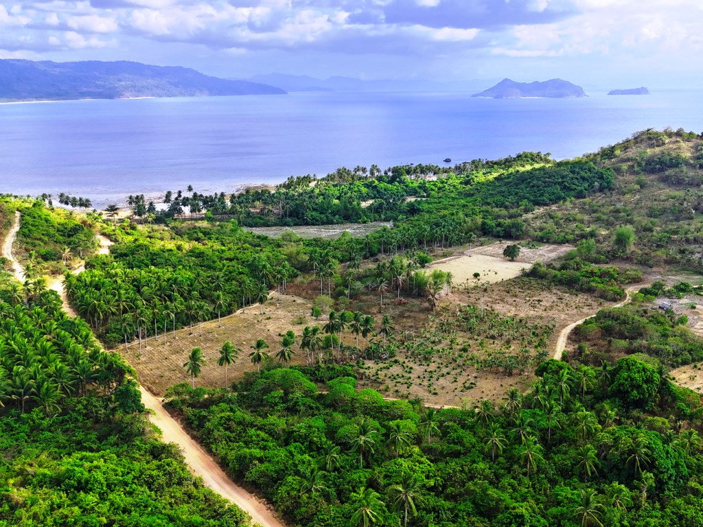 Tropical Homestead Subdivision near Beach 