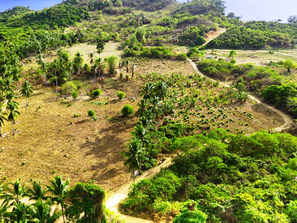 Tropical Homestead Subdivision near Beach 