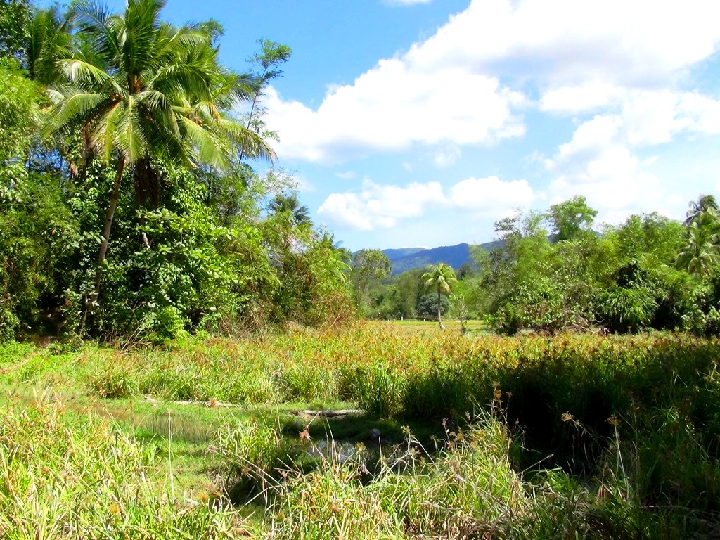 Prime Residential Tourism Parcels next to Beach and Airport
