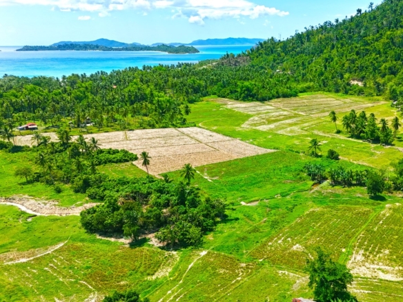 Investment Land near Port Parton Beach